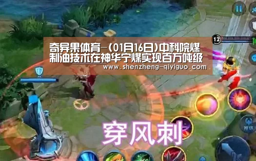 奇异果体育app