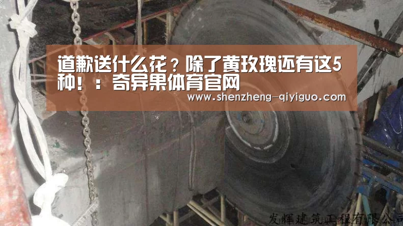 奇异果体育官网