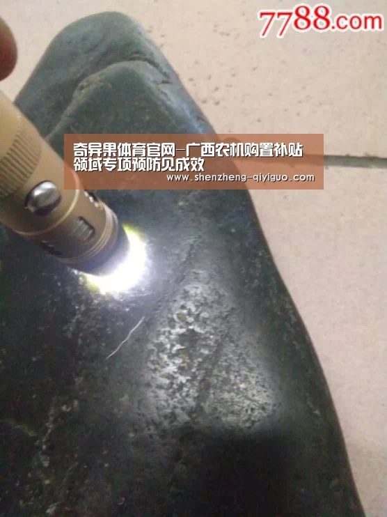 奇异果体育官网